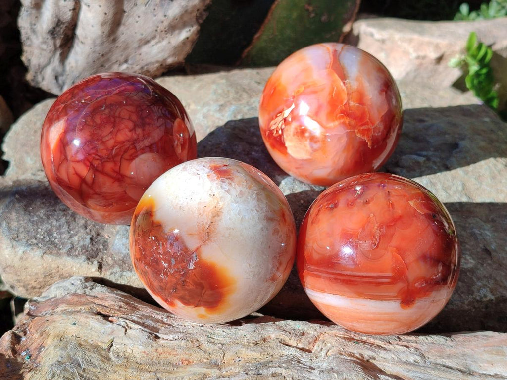 Polished and Natural Carnelian Agate Gemstone Spheres x 4 From Madagascar - Toprock Gemstones and Minerals 