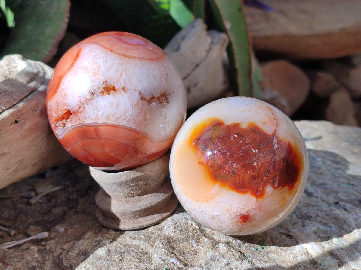 Polished and Natural Carnelian Agate Gemstone Spheres x 4 From Madagascar - Toprock Gemstones and Minerals 
