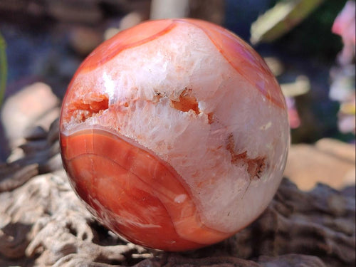 Polished and Natural Carnelian Agate Gemstone Spheres x 4 From Madagascar - Toprock Gemstones and Minerals 