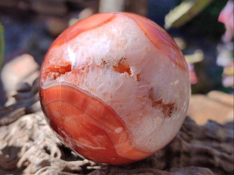 Polished and Natural Carnelian Agate Gemstone Spheres x 4 From Madagascar - Toprock Gemstones and Minerals 