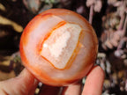 Polished and Natural Carnelian Agate Gemstone Spheres x 4 From Madagascar - Toprock Gemstones and Minerals 