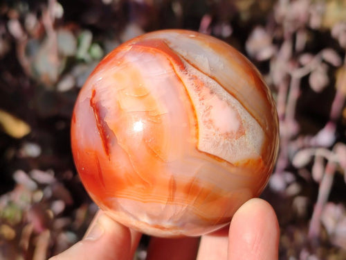 Polished and Natural Carnelian Agate Gemstone Spheres x 4 From Madagascar - Toprock Gemstones and Minerals 