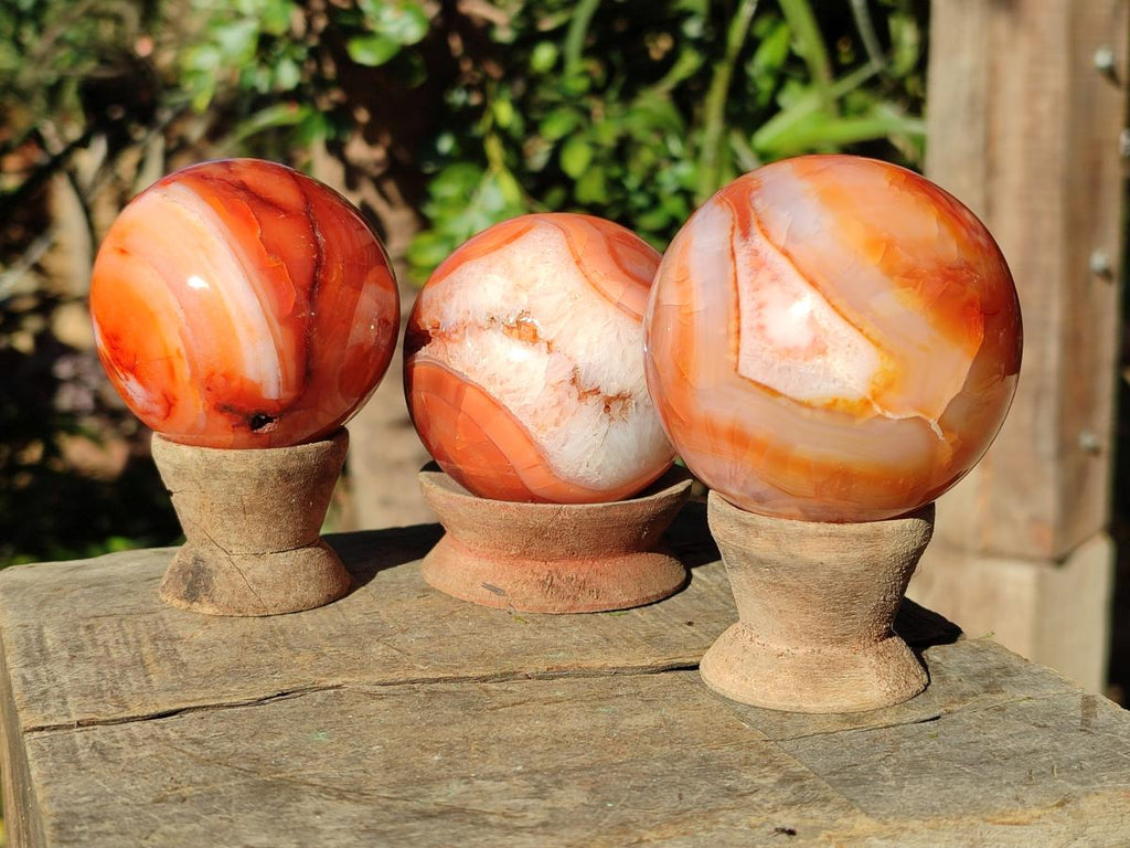 Polished and Natural Carnelian Agate Gemstone Spheres x 4 From Madagascar - Toprock Gemstones and Minerals 