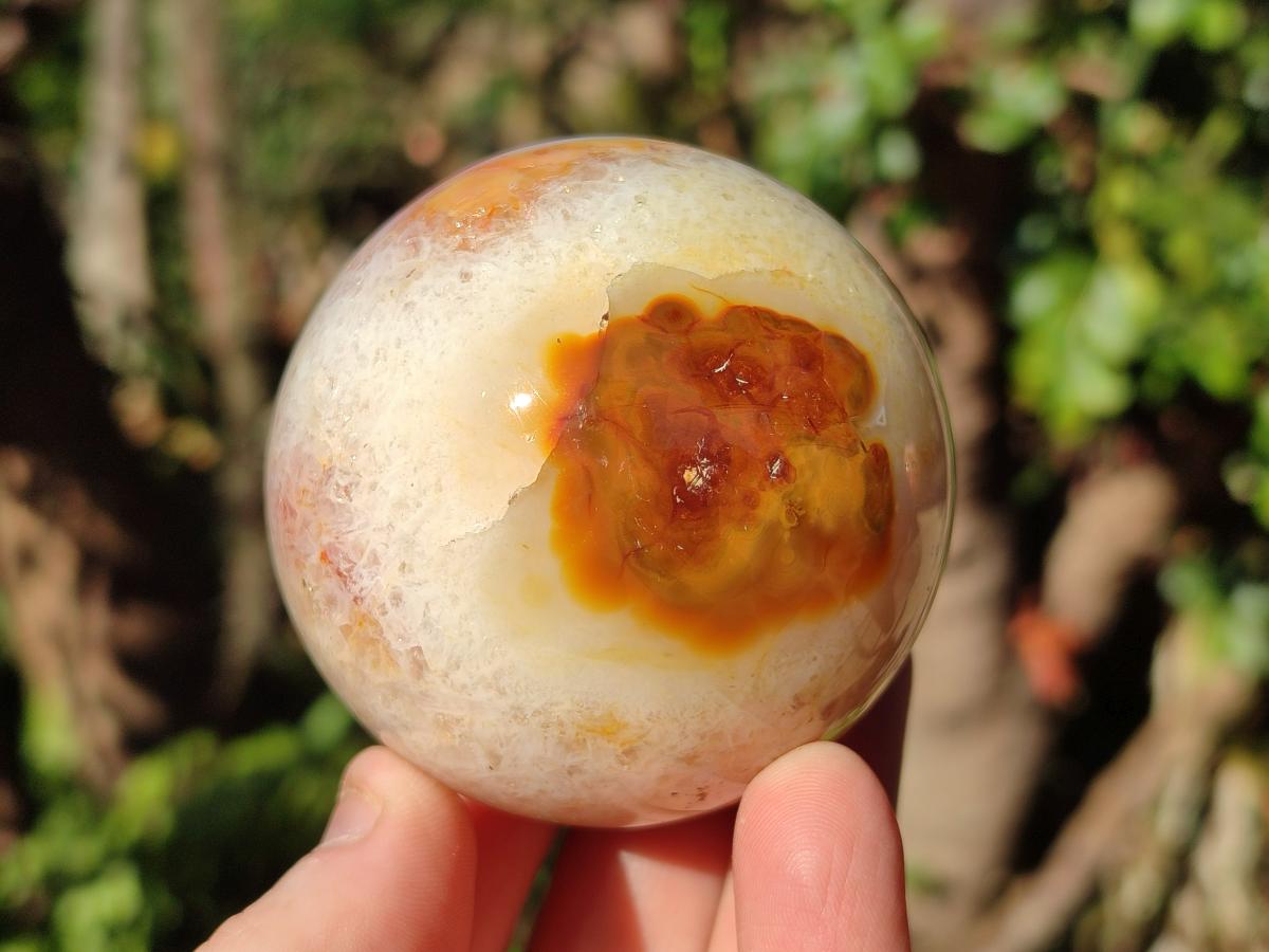 Polished and Natural Carnelian Agate Gemstone Spheres x 4 From Madagascar - Toprock Gemstones and Minerals 