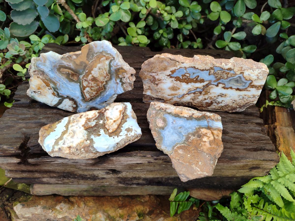 Polished One Side Blue Lace Agate with Crazy Lace Slices x 4 From Namibia - Toprock Gemstones and Minerals 
