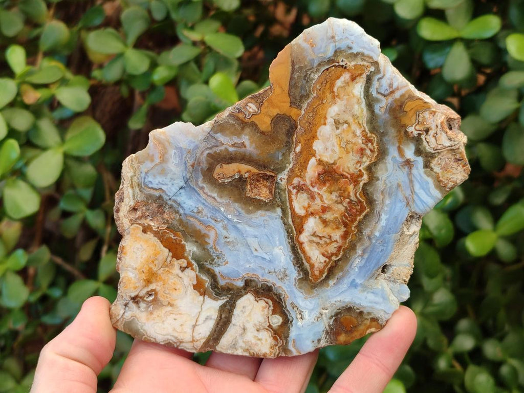 Polished One Side Blue Lace Agate with Crazy Lace Slices x 4 From Namibia - Toprock Gemstones and Minerals 