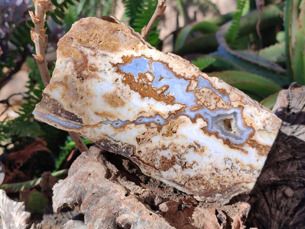 Polished One Side Blue Lace Agate with Crazy Lace Slices x 4 From Namibia - Toprock Gemstones and Minerals 