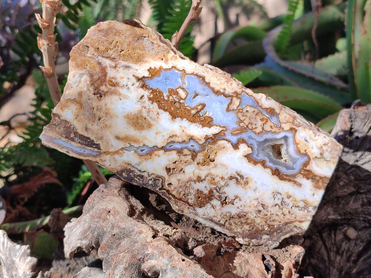 Polished One Side Blue Lace Agate with Crazy Lace Slices x 4 From Namibia - Toprock Gemstones and Minerals 