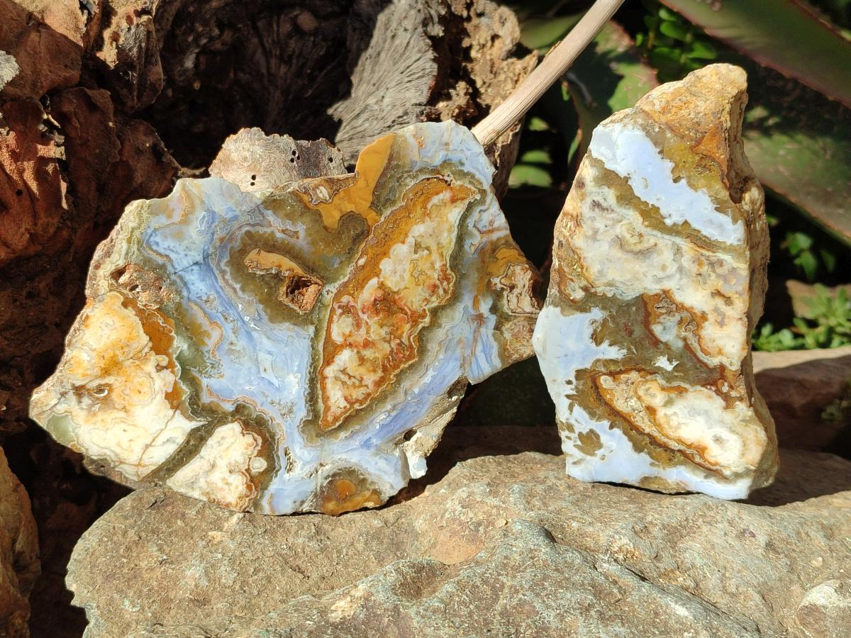 Polished One Side Blue Lace Agate with Crazy Lace Slices x 4 From Namibia - Toprock Gemstones and Minerals 