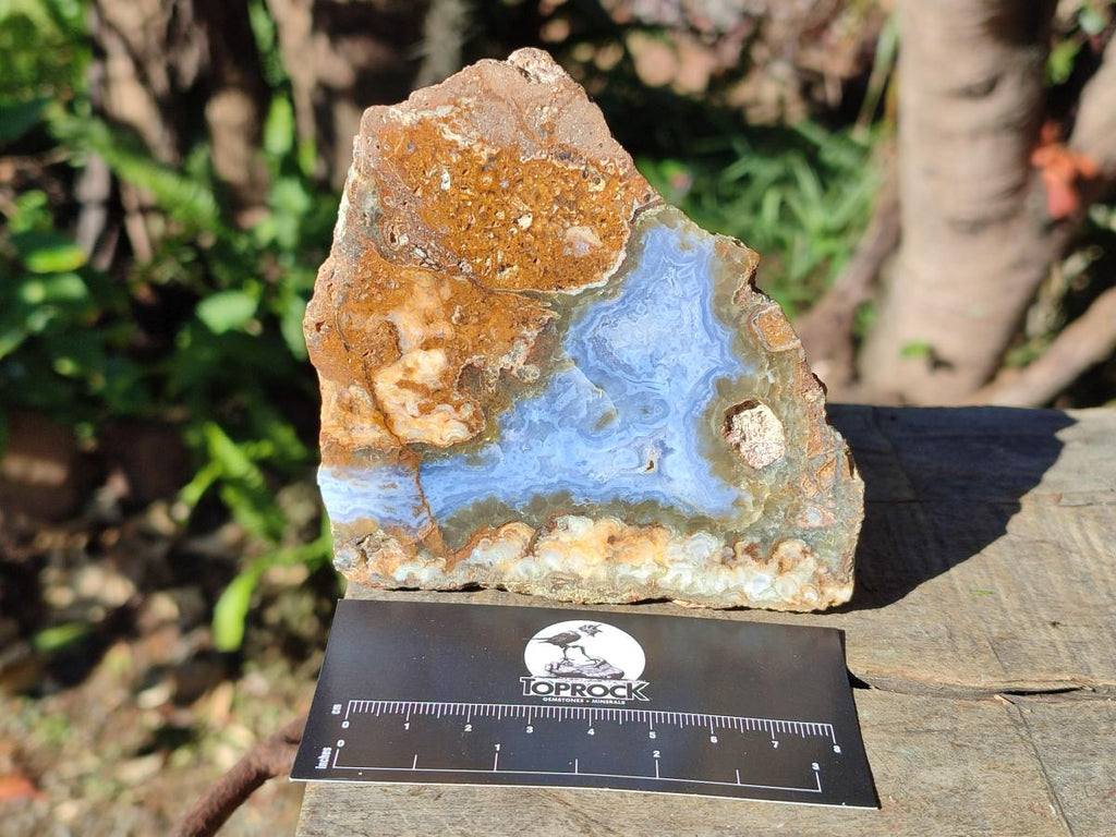 Polished One Side Blue Lace Agate with Crazy Lace Slices x 4 From Namibia - Toprock Gemstones and Minerals 