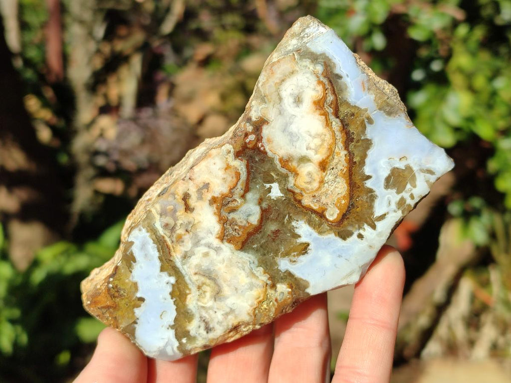 Polished One Side Blue Lace Agate with Crazy Lace Slices x 4 From Namibia - Toprock Gemstones and Minerals 