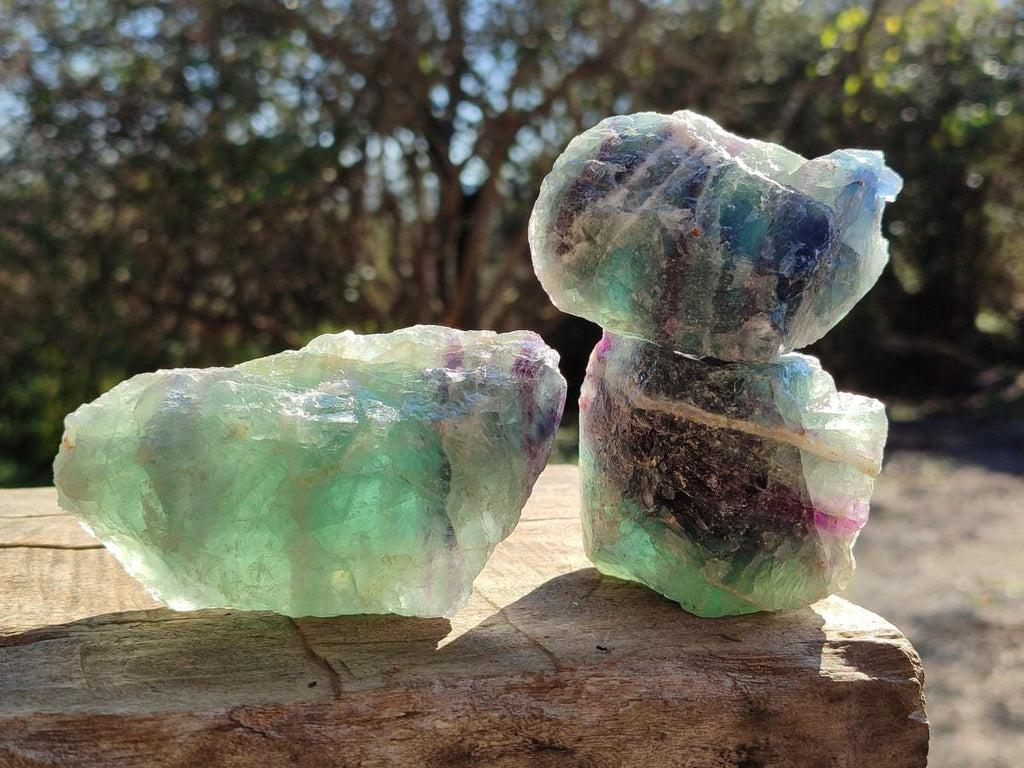 Natural Watermelon Fluorite Cobbed Specimens x 12 From Uis, Namibia - Toprock Gemstones and Minerals 