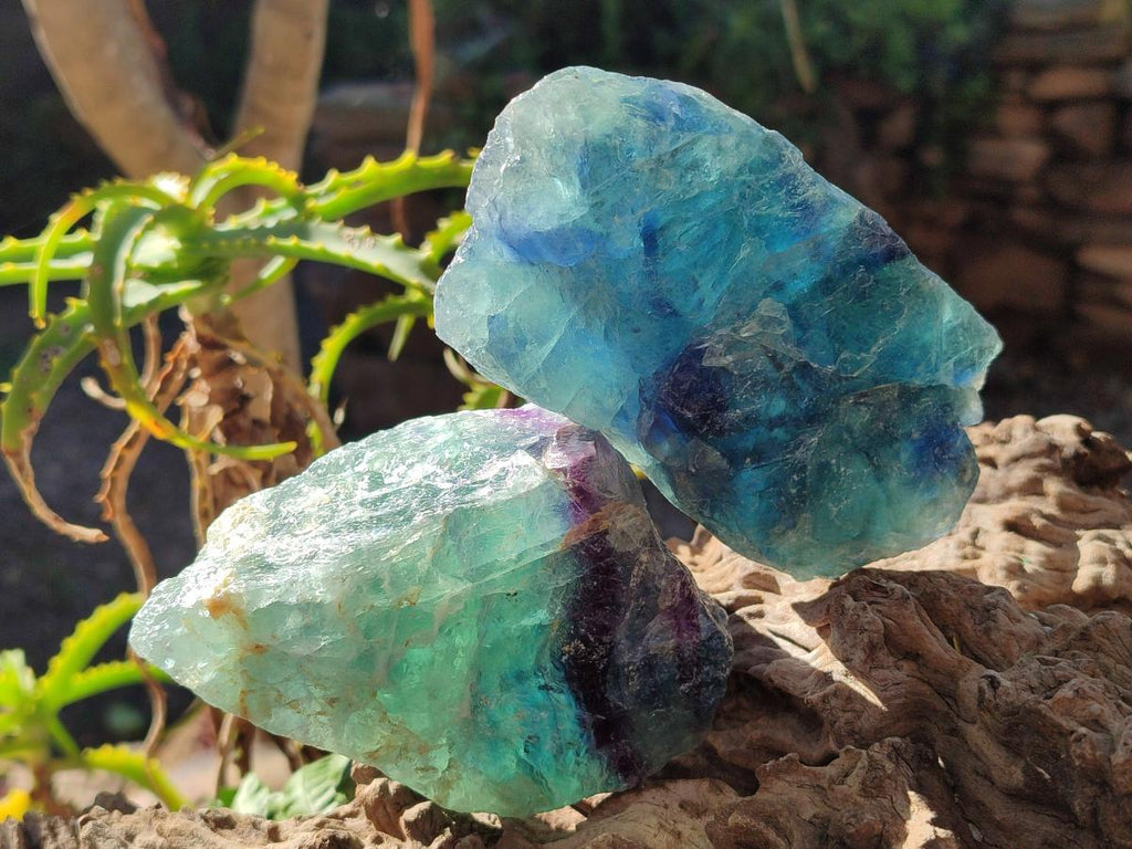 Natural Watermelon Fluorite Cobbed Specimens x 12 From Uis, Namibia - Toprock Gemstones and Minerals 
