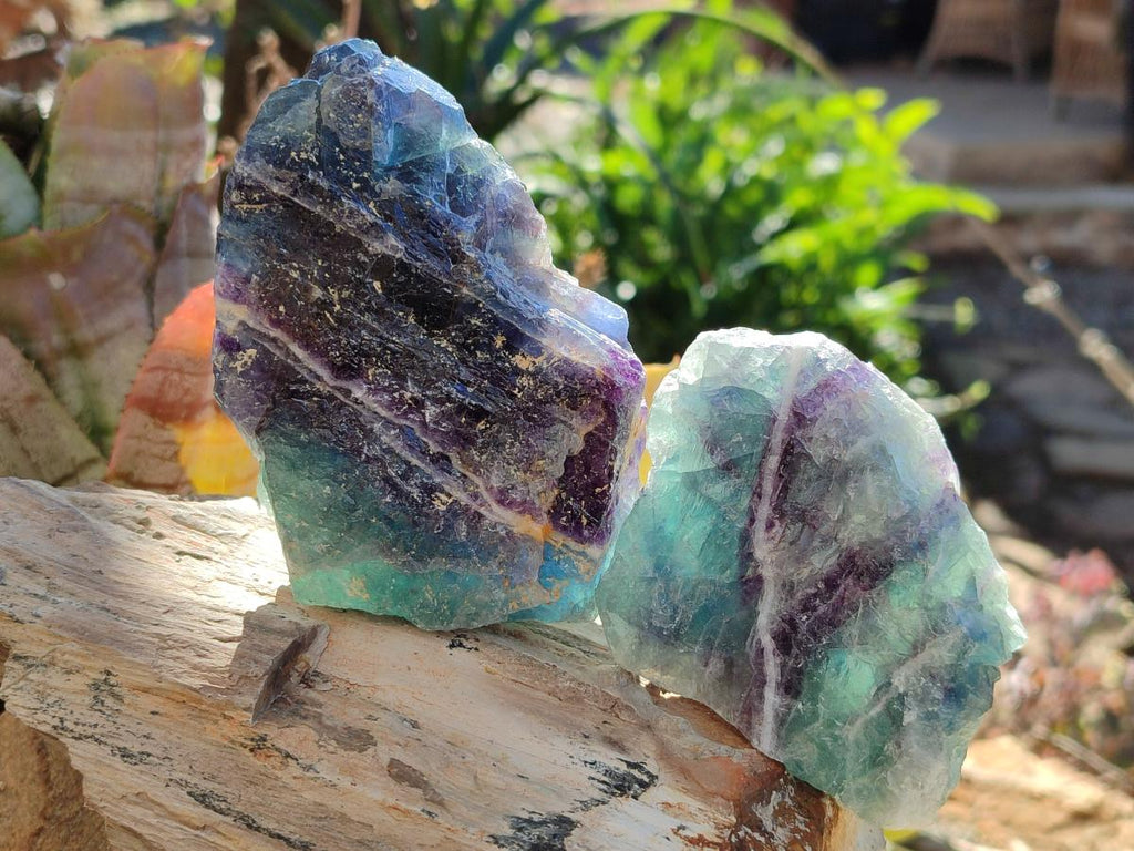 Natural Watermelon Fluorite Cobbed Specimens x 12 From Uis, Namibia - Toprock Gemstones and Minerals 
