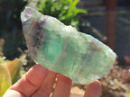 Natural Watermelon Fluorite Cobbed Specimens x 12 From Uis, Namibia - Toprock Gemstones and Minerals 