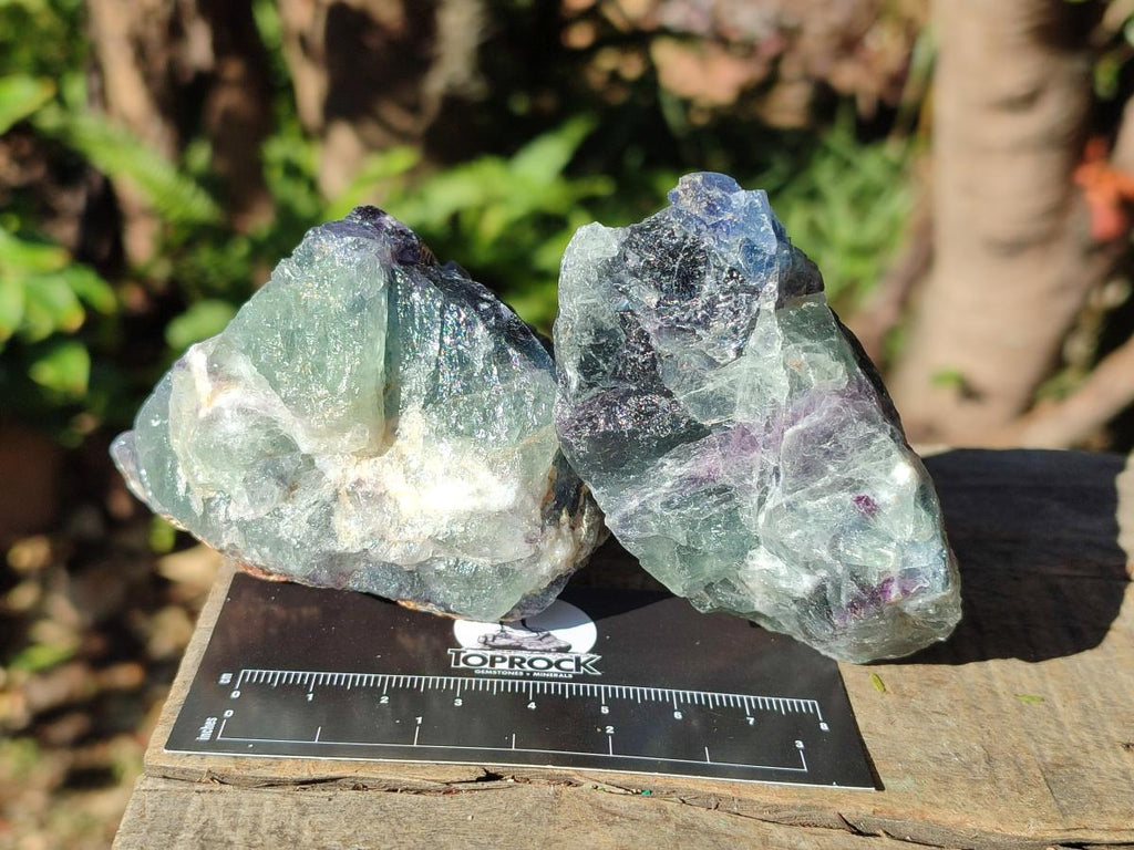 Natural Watermelon Fluorite Cobbed Specimens x 12 From Uis, Namibia - Toprock Gemstones and Minerals 