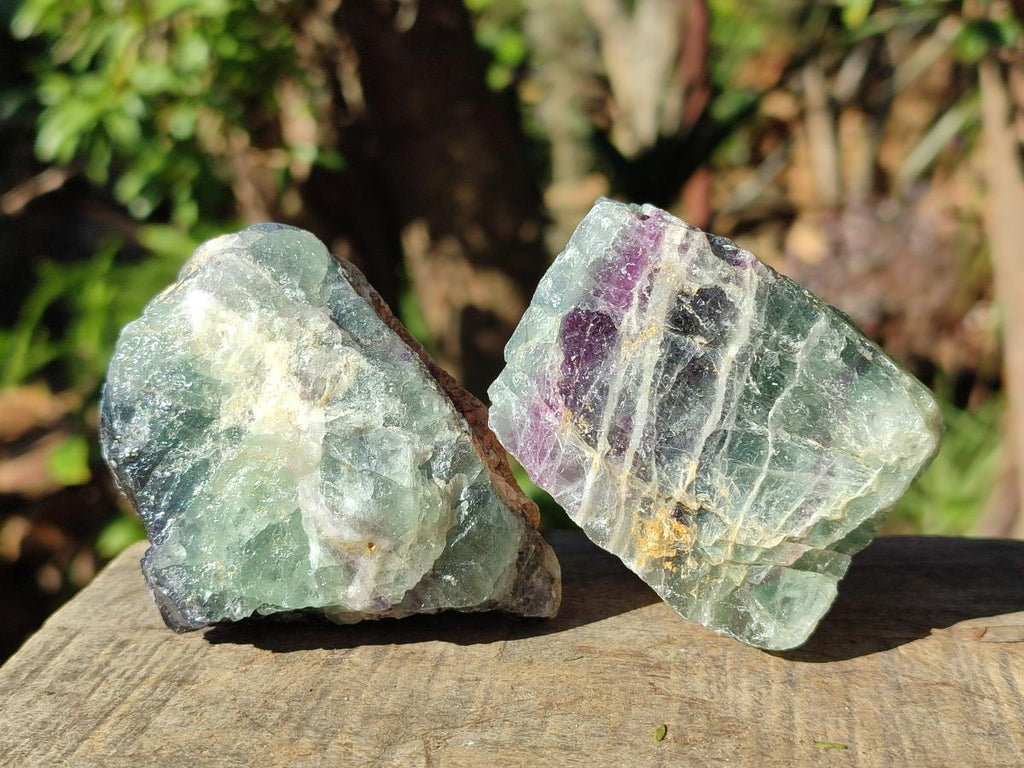 Natural Watermelon Fluorite Cobbed Specimens x 12 From Uis, Namibia - Toprock Gemstones and Minerals 