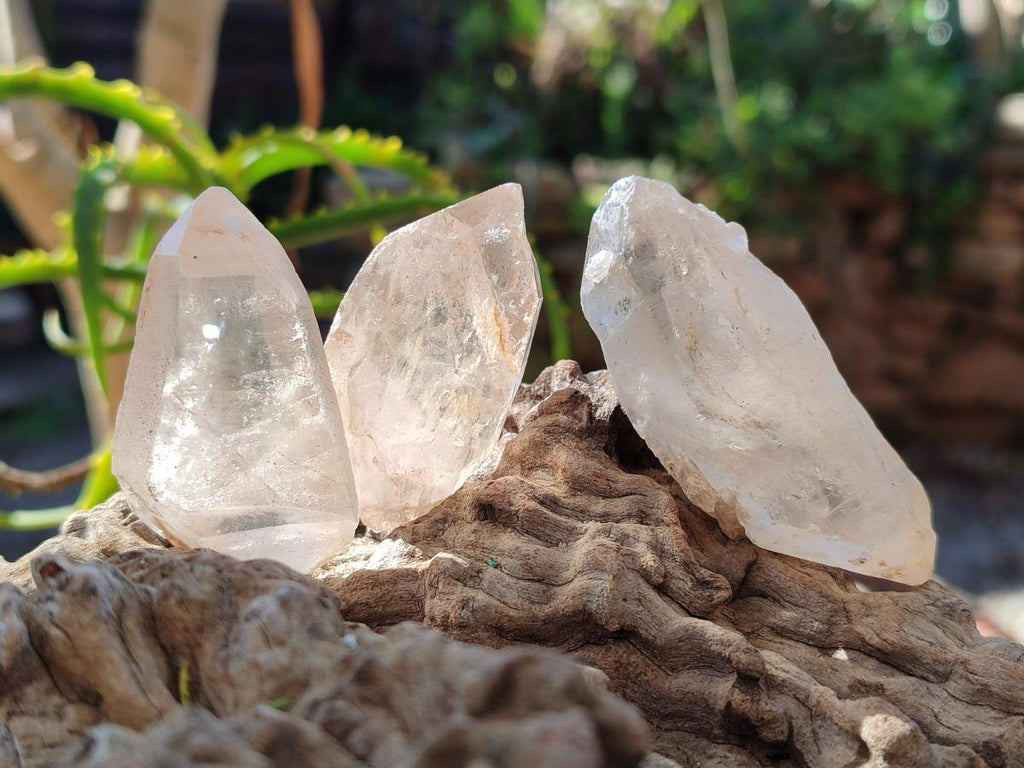 Natural Smokey Quartz Crystals x 35 From Zambia - Toprock Gemstones and Minerals 