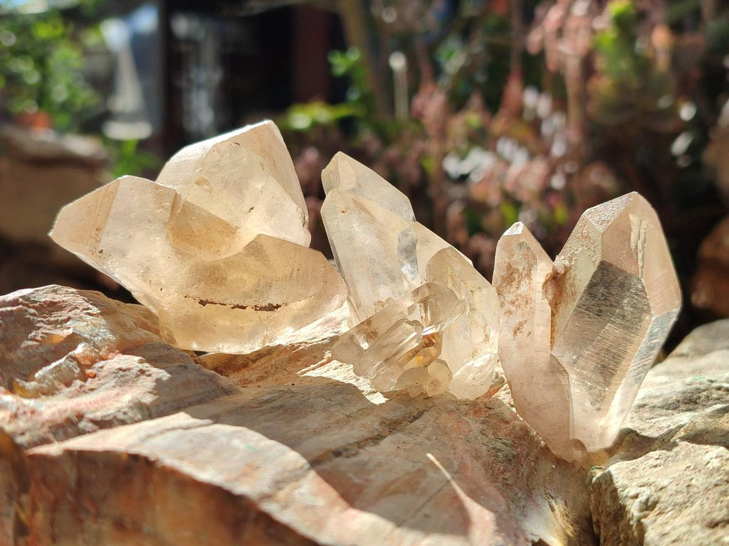 Natural Smokey Quartz Crystals x 35 From Zambia - Toprock Gemstones and Minerals 