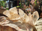 Natural Smokey Quartz Crystals x 35 From Zambia - Toprock Gemstones and Minerals 