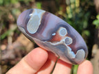 Polished Red Shashe River Agate Galets x 28 From Shashe River, Zimbabwe - Toprock Gemstones and Minerals 