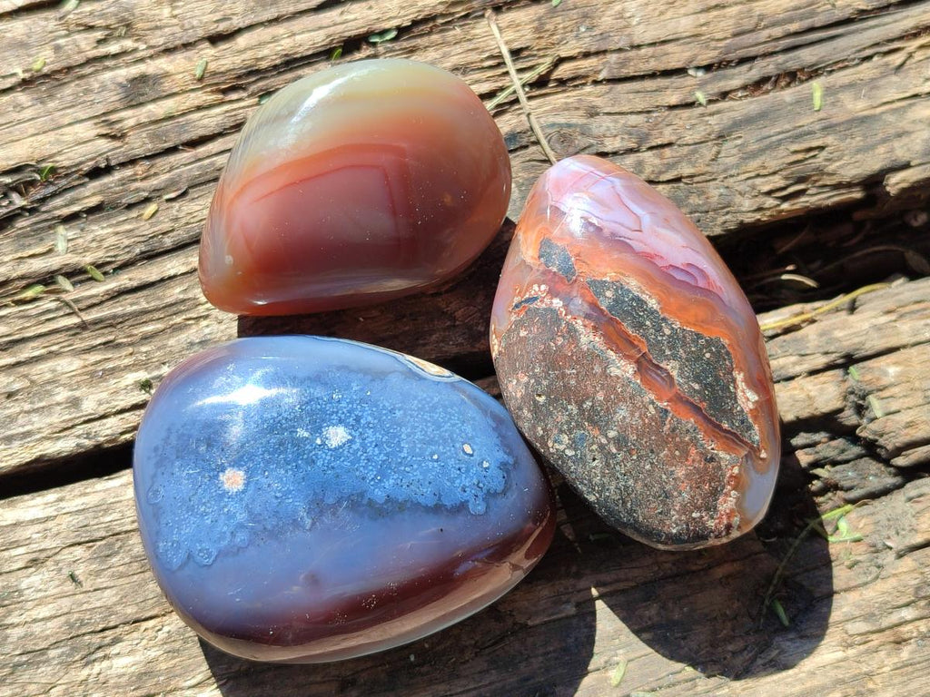 Polished Red Shashe River Agate Galets x 28 From Shashe River, Zimbabwe - Toprock Gemstones and Minerals 