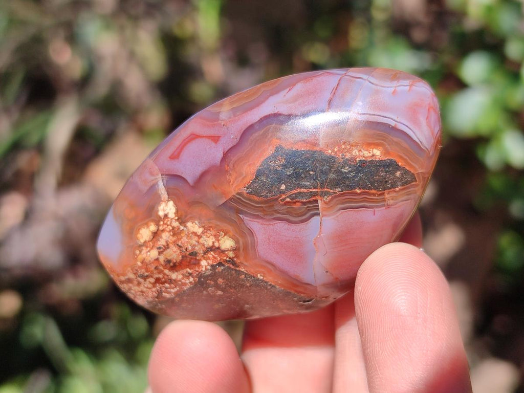 Polished Red Shashe River Agate Galets x 28 From Shashe River, Zimbabwe - Toprock Gemstones and Minerals 
