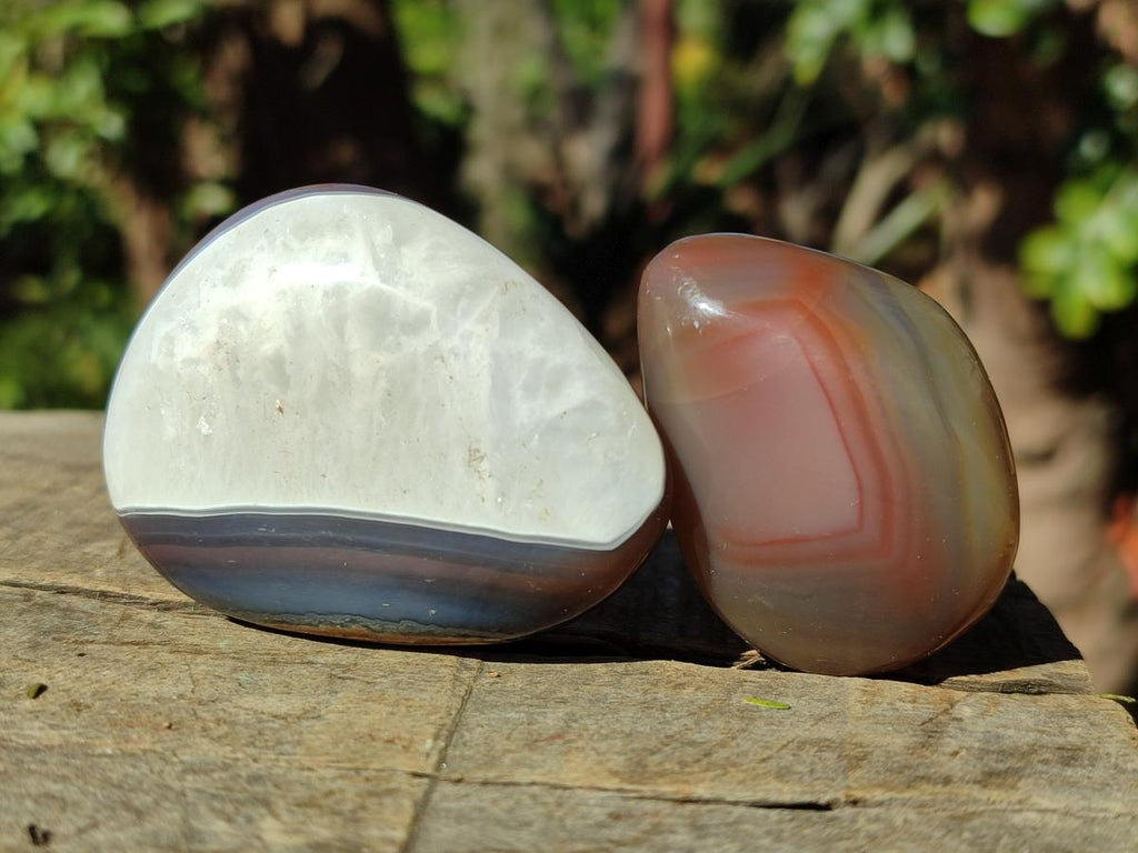 Polished Red Shashe River Agate Galets x 28 From Shashe River, Zimbabwe - Toprock Gemstones and Minerals 