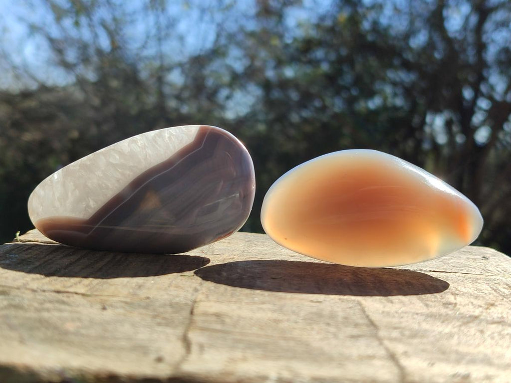 Polished Red Shashe River Agate Galets x 28 From Shashe River, Zimbabwe - Toprock Gemstones and Minerals 