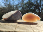 Polished Red Shashe River Agate Galets x 28 From Shashe River, Zimbabwe - Toprock Gemstones and Minerals 