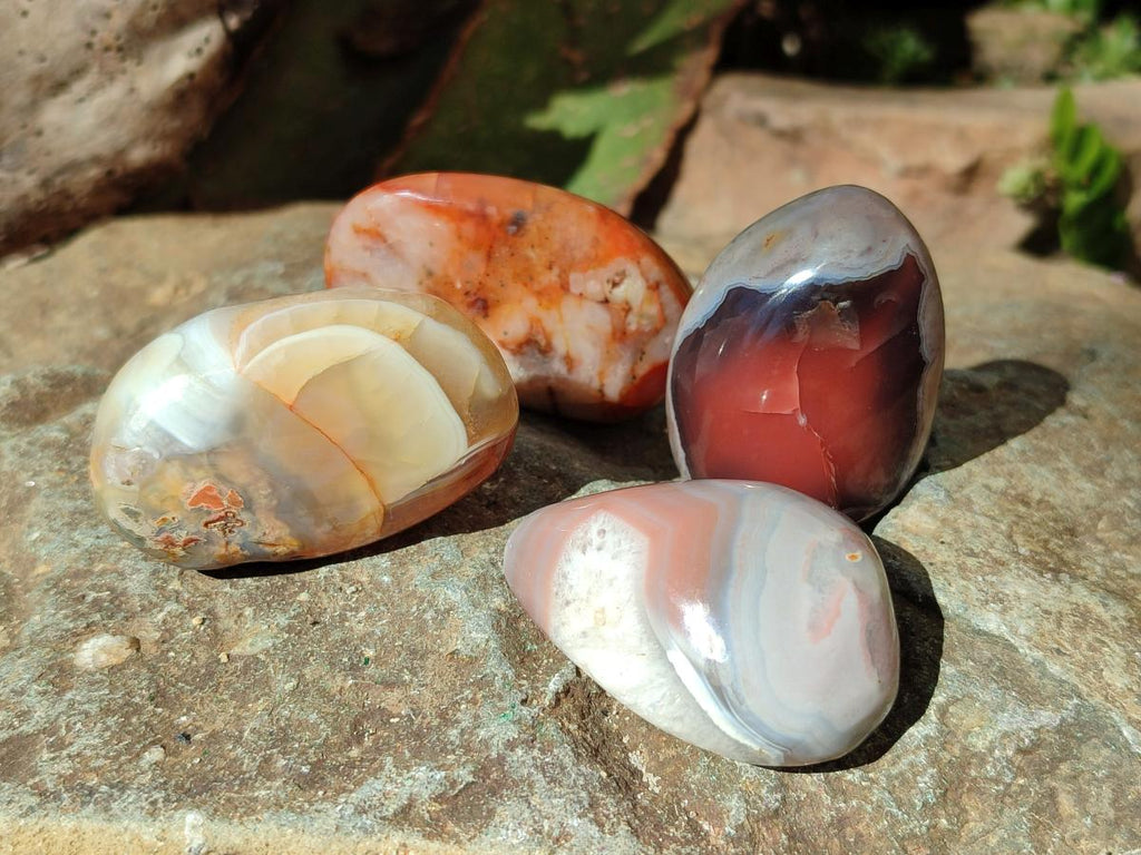 Polished Red Shashe River Agate Galets x 28 From Shashe River, Zimbabwe - Toprock Gemstones and Minerals 