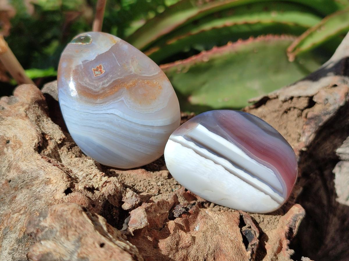 Polished Red Shashe River Agate Galets x 28 From Shashe River, Zimbabwe - Toprock Gemstones and Minerals 