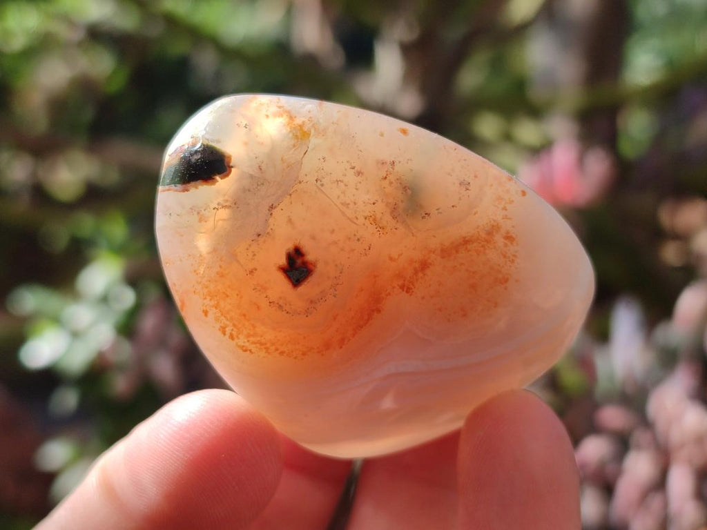 Polished Red Shashe River Agate Galets x 28 From Shashe River, Zimbabwe - Toprock Gemstones and Minerals 