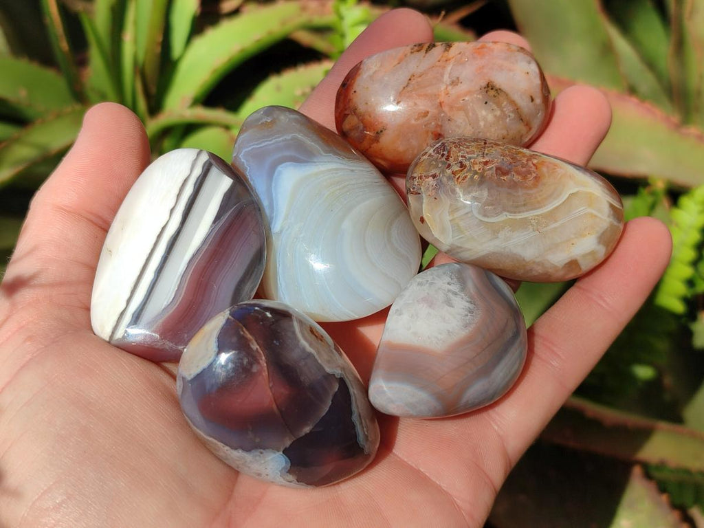 Polished Red Shashe River Agate Galets x 28 From Shashe River, Zimbabwe - Toprock Gemstones and Minerals 