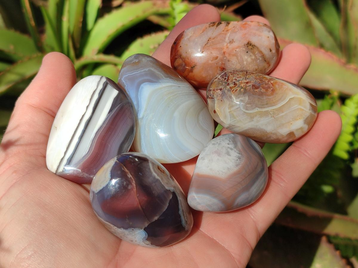 Polished Red Shashe River Agate Galets x 28 From Shashe River, Zimbabwe - Toprock Gemstones and Minerals 
