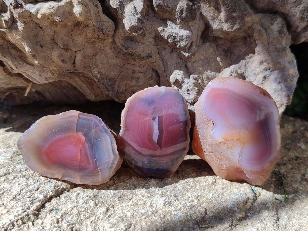 Polished Red Shashe River Agate Galets x 28 From Shashe River, Zimbabwe - Toprock Gemstones and Minerals 