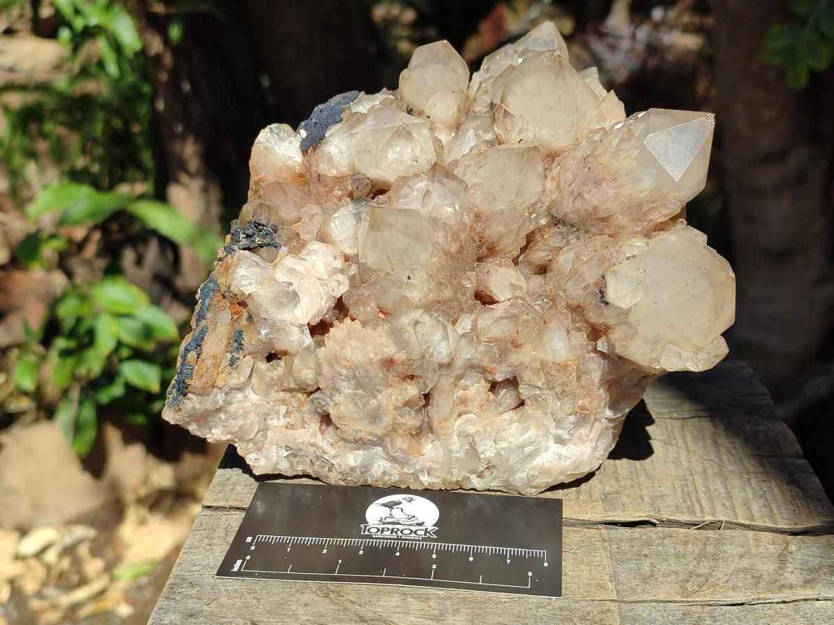 Natural Large Cascading White Phantom Smokey Luena Quartz Cluster x 1 From Luena, Congo - Toprock Gemstones and Minerals 