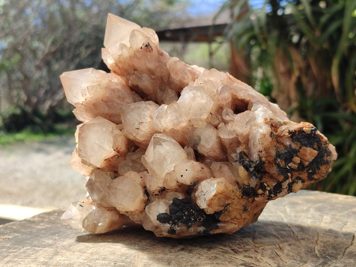 Natural Large Cascading White Phantom Smokey Luena Quartz Cluster x 1 From Luena, Congo - Toprock Gemstones and Minerals 