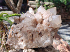 Natural Large Cascading White Phantom Smokey Luena Quartz Cluster x 1 From Luena, Congo - Toprock Gemstones and Minerals 