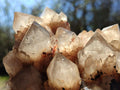 Natural Large Cascading White Phantom Smokey Luena Quartz Cluster x 1 From Luena, Congo - Toprock Gemstones and Minerals 