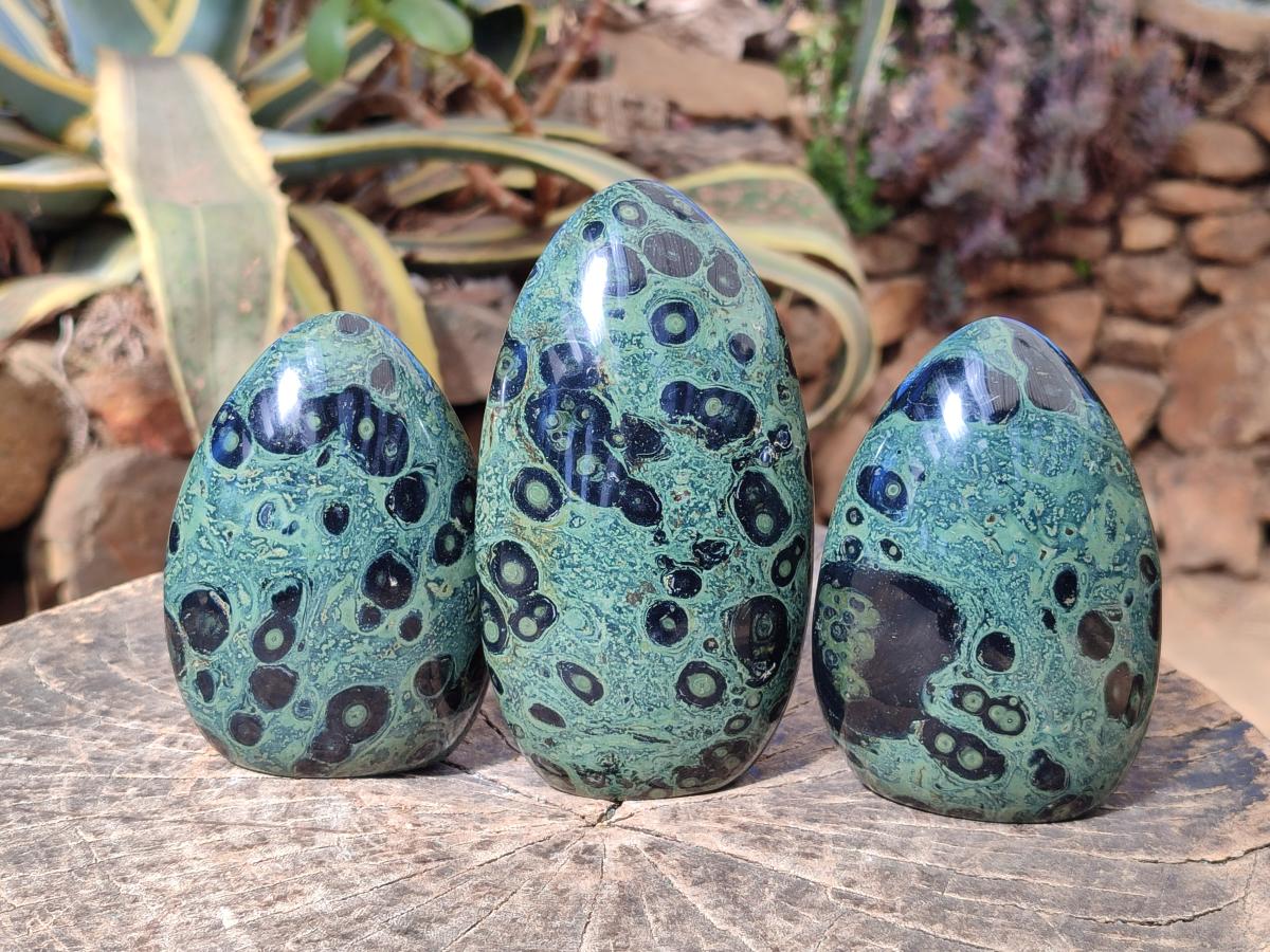Polished Stromatolite "Kambamba Jasper" Standing Display Pieces x 3 From Katsepy, Madagascar - Toprock Gemstones and Minerals 