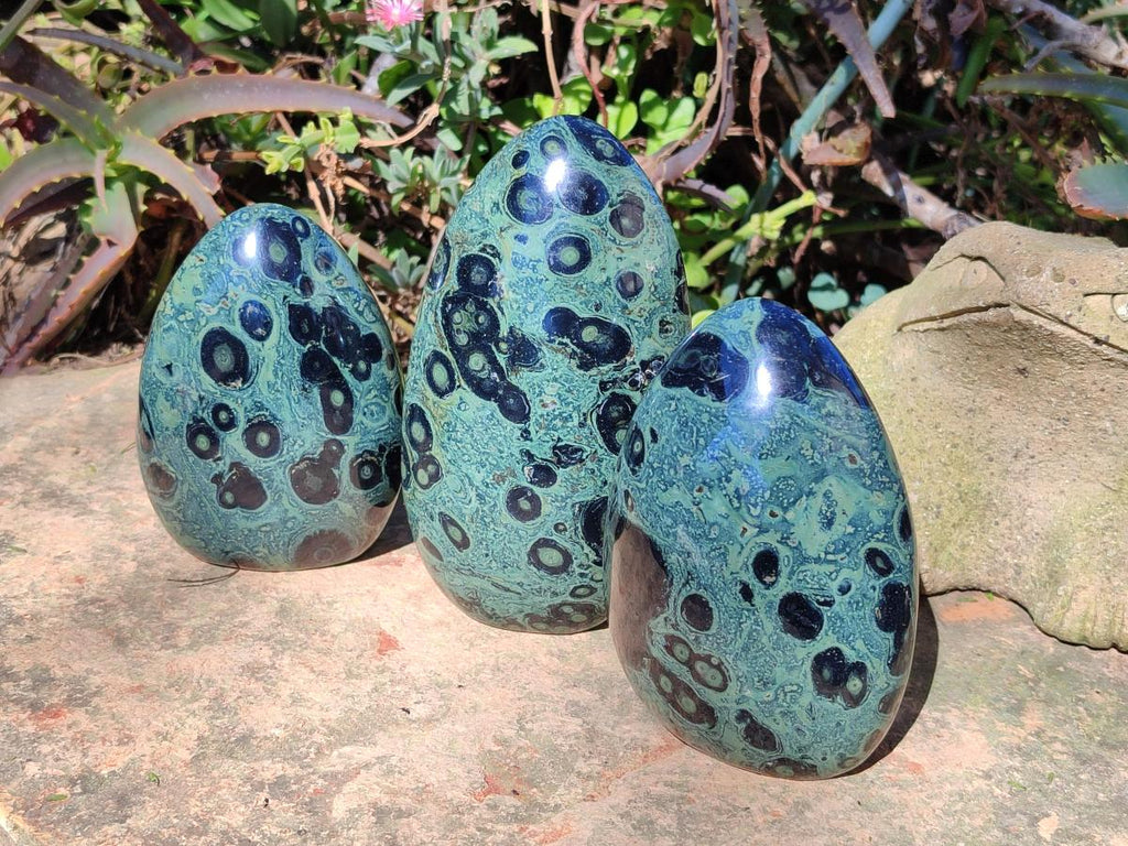 Polished Stromatolite "Kambamba Jasper" Standing Display Pieces x 3 From Katsepy, Madagascar - Toprock Gemstones and Minerals 