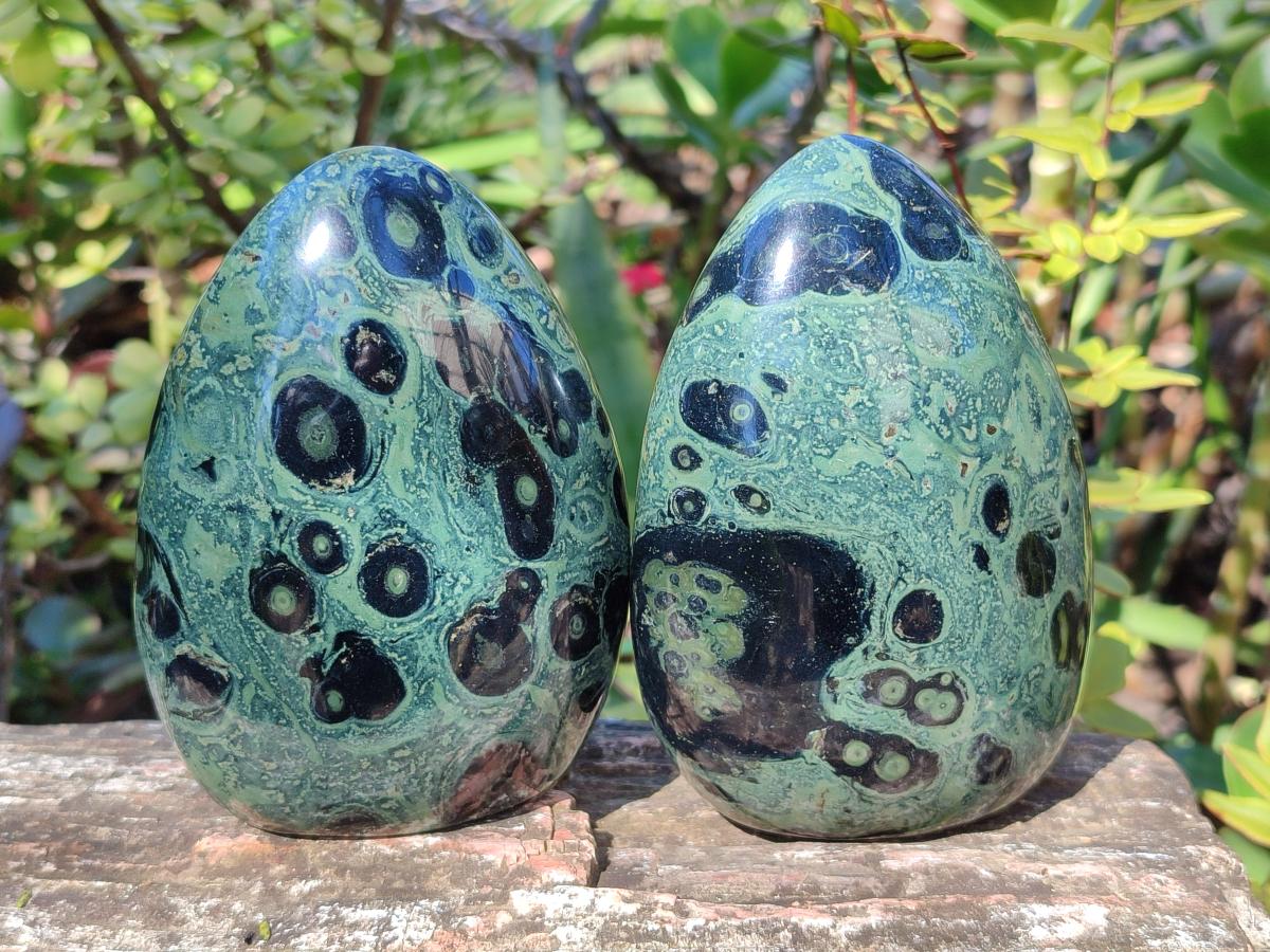 Polished Stromatolite "Kambamba Jasper" Standing Display Pieces x 3 From Katsepy, Madagascar - Toprock Gemstones and Minerals 