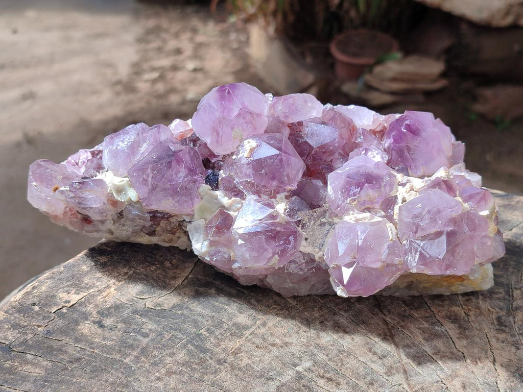 Natural Large Spirit Amethyst Cluster x 1 From Boekenhouthoek, South Africa - Toprock Gemstones and Minerals 