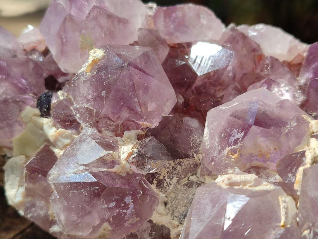 Natural Large Spirit Amethyst Cluster x 1 From Boekenhouthoek, South Africa - Toprock Gemstones and Minerals 