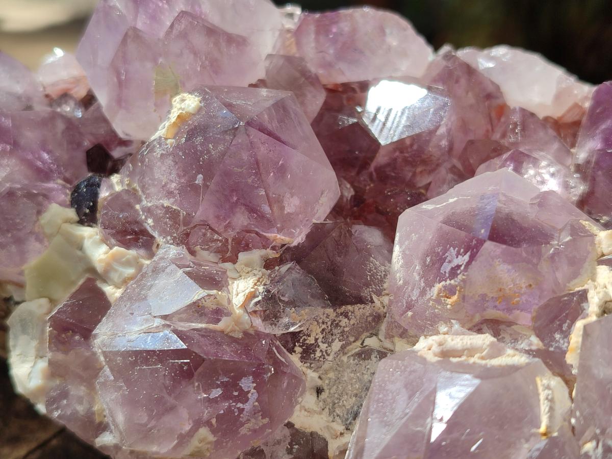 Natural Large Spirit Amethyst Cluster x 1 From Boekenhouthoek, South Africa - Toprock Gemstones and Minerals 