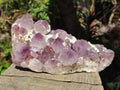 Natural Large Spirit Amethyst Cluster x 1 From Boekenhouthoek, South Africa - Toprock Gemstones and Minerals 