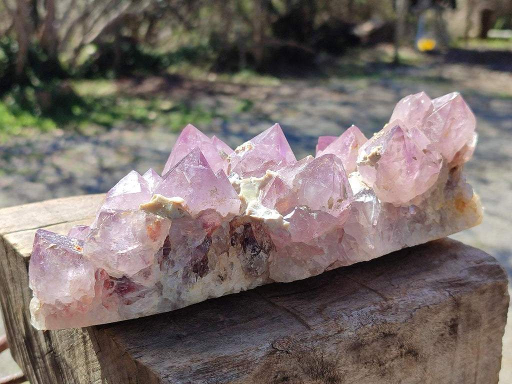 Natural Large Spirit Amethyst Cluster x 1 From Boekenhouthoek, South Africa - Toprock Gemstones and Minerals 