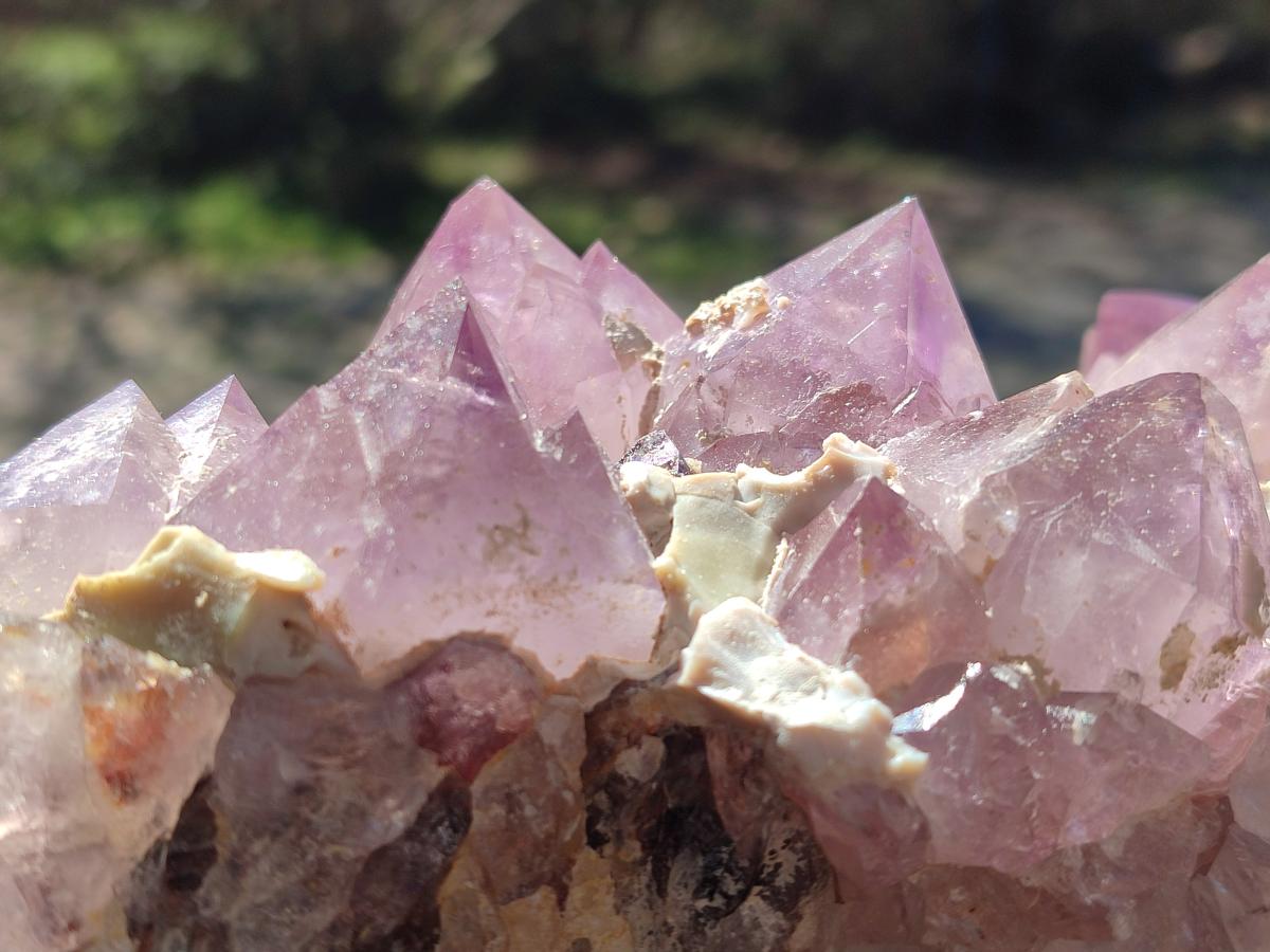 Natural Large Spirit Amethyst Cluster x 1 From Boekenhouthoek, South Africa - Toprock Gemstones and Minerals 