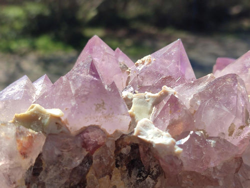 Natural Large Spirit Amethyst Cluster x 1 From Boekenhouthoek, South Africa - Toprock Gemstones and Minerals 